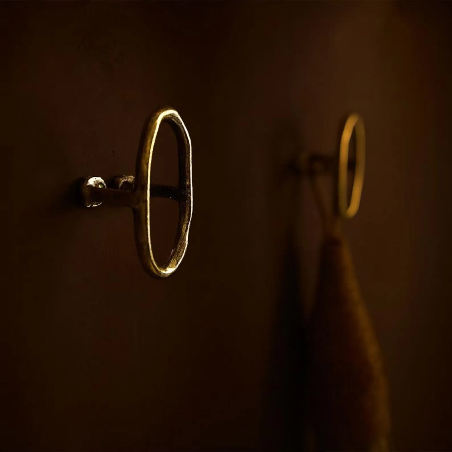 brass wall hook oval unlacquered solid brass hanger