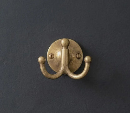 unlacquered brass double hook modern interior